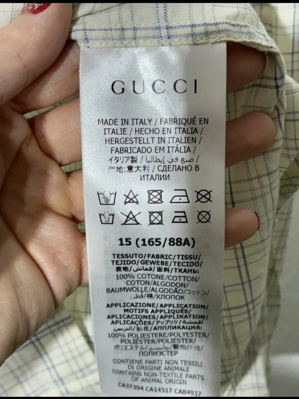 Gucci white blue